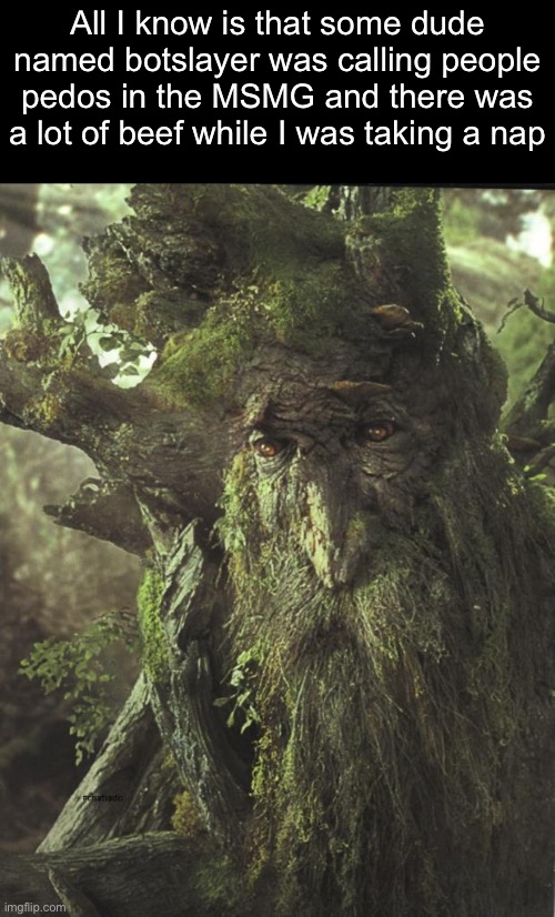 Can anyone provide further context | All I know is that some dude named botslayer was calling people pedos in the MSMG and there was a lot of beef while I was taking a nap | image tagged in tree beard,shit | made w/ Imgflip meme maker