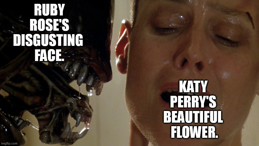 Katy Perry did nothing wrong! | Ruby
rose's
disgusting 
face. katy 
perry's 
beautiful 
flower. | image tagged in katy perry,flower,ruby rose,disgusting,face,memes | made w/ Imgflip meme maker