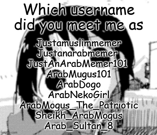 strugled to remember my usernames | Which username did you meet me as; Justamuslimmemer
Justanarabmemer 
JustAnArabMemer101 
ArabMugus101
ArabDogo
ArabNekoGirl
ArabMogus_The_Patriotic
Sheikh_ArabMogus
Arab_Sultan_8 | image tagged in chito head tilt | made w/ Imgflip meme maker