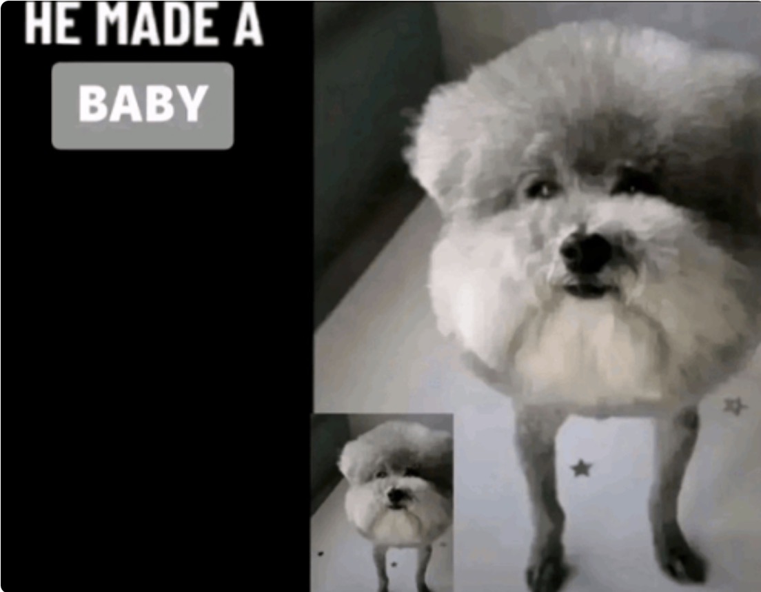 He made a baby Blank Meme Template