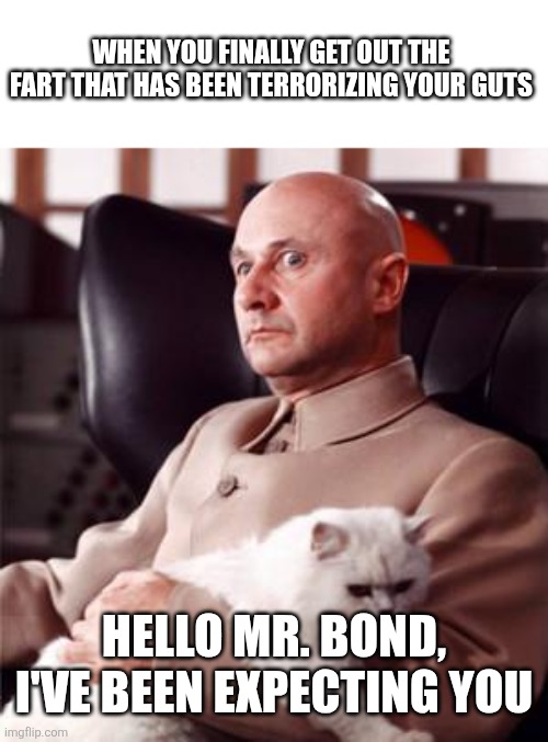 'Bout damn time! | When you finally get out the fart that has been terrorizing your guts; Hello Mr. Bond, I've been expecting you | image tagged in hello mr bond i've been expecting you | made w/ Imgflip meme maker