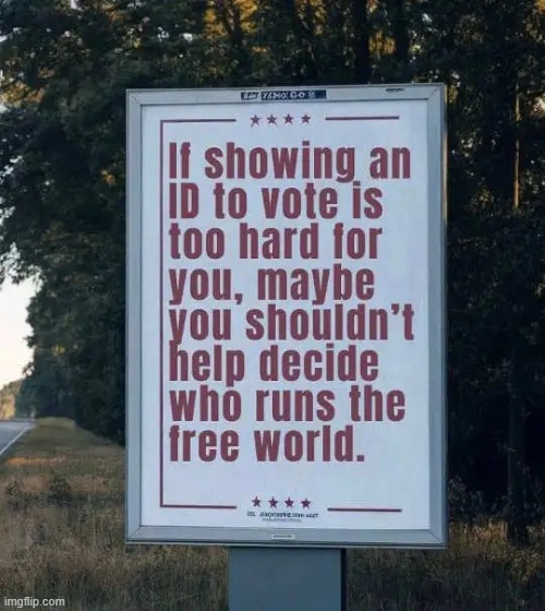 Isn't that the truth? | image tagged in do you are have stupid,voter fraud,be honest,truth,cheaters,fraud | made w/ Imgflip meme maker