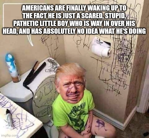 25th Amendment time | AMERICANS ARE FINALLY WAKING UP TO THE FACT HE IS JUST A SCARED, STUPID, PATHETIC LITTLE BOY WHO IS WAY IN OVER HIS HEAD, AND HAS ABSOLUTELY NO IDEA WHAT HE'S DOING | image tagged in trump baby infant toddler child toilet scribble walls,trump unfit unqualified dangerous,stable genius,impeach trump,donald trump | made w/ Imgflip meme maker