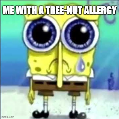Sad Spongebob | Me with a tree-nut allergy | image tagged in sad spongebob | made w/ Imgflip meme maker
