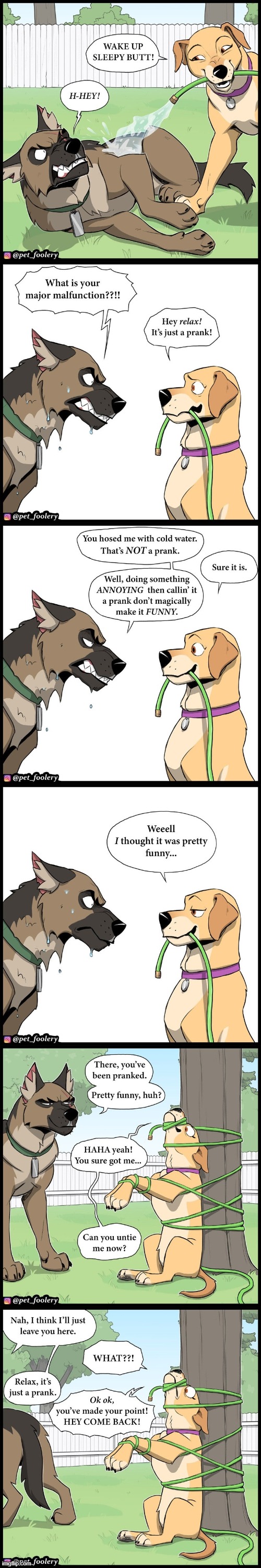 image tagged in dogs,hose,prank,tree,stuck,oof | made w/ Imgflip meme maker