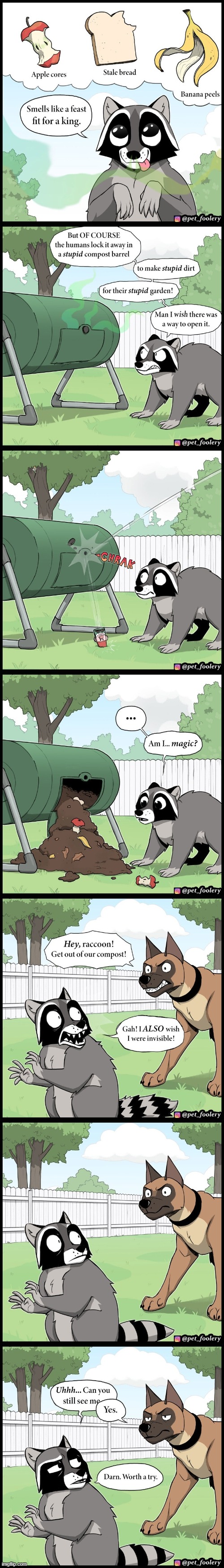 image tagged in racoon,garbage,gnome,dog,wish,wishes | made w/ Imgflip meme maker