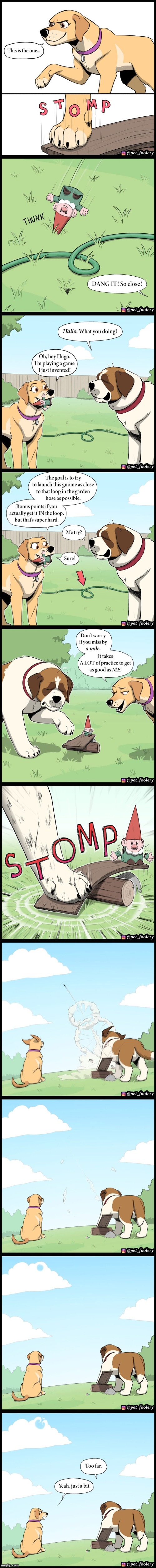 image tagged in dogs,game,hose,gnome,launch,sky | made w/ Imgflip meme maker