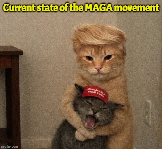 Proxy war with Russia, New proxy war with China, Hot war with Iran, Cuba Turkey | Current state of the MAGA movement | image tagged in maga,america first,cat memes,israel,iran,russia | made w/ Imgflip meme maker
