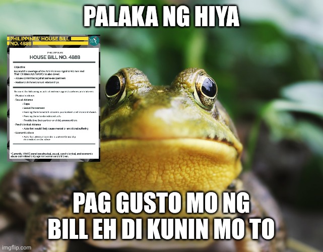 Frog of Shame | Palaka ng hiya Pag gusto mo ng bill eh di kunin mo to | image tagged in frog of shame | made w/ Imgflip meme maker