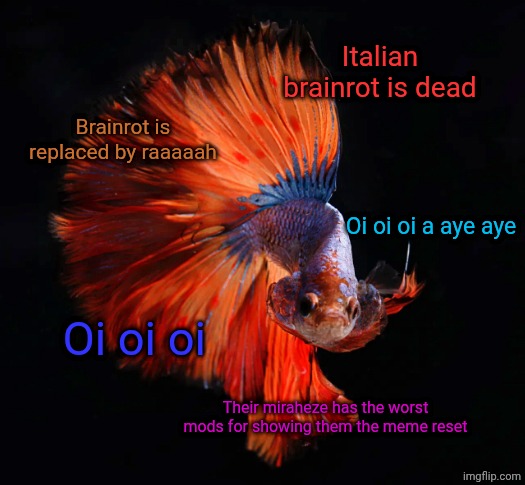 Betta as Doge | Italian brainrot is dead; Brainrot is replaced by raaaaah; Oi oi oi a aye aye; Oi oi oi; Their miraheze has the worst mods for showing them the meme reset | image tagged in betta as doge | made w/ Imgflip meme maker