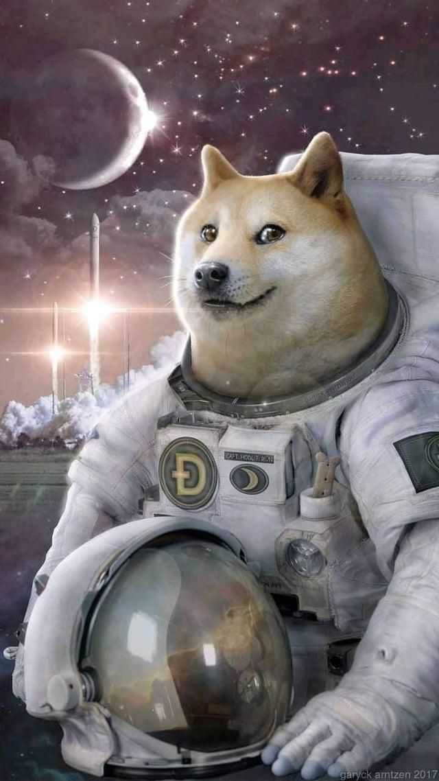 doge astronaut Blank Meme Template