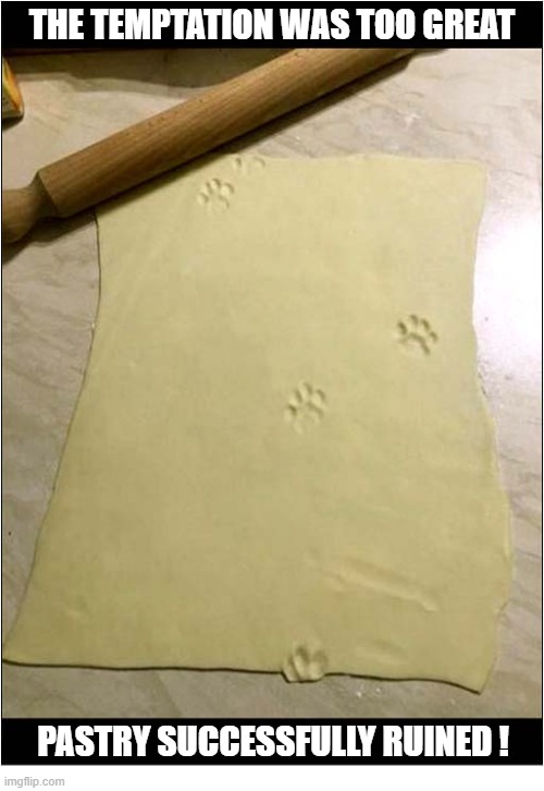 Owner Shouldn't Have Left It Unattended ! | THe temptation was too great; Pastry successfully Ruined ! | image tagged in temptation,pastry,paw prints | made w/ Imgflip meme maker