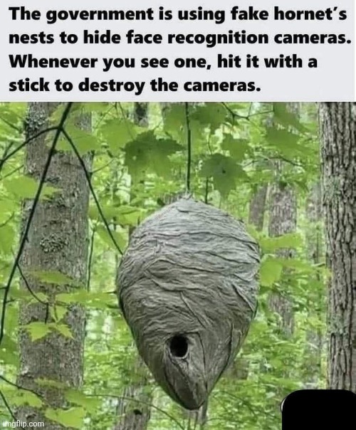 Its a govt. sting operation | image tagged in hornet,nest,cameras,government,surveillance,gullible people | made w/ Imgflip meme maker