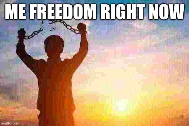 frreedom | me freedom right now | image tagged in fun | made w/ Imgflip meme maker