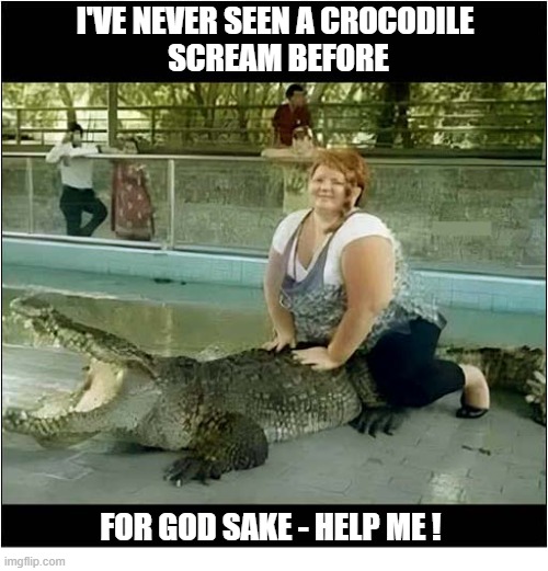 Fatty Riding A Reptile | I've Never Seen A Crocodile
 Scream Before; For God Sake - help me ! | image tagged in fatty,riding,crocodile,help me | made w/ Imgflip meme maker