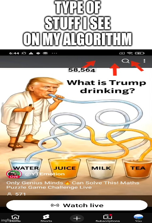 I hate my algorithm | Type of stuff I see on my algorithm | image tagged in blank white template | made w/ Imgflip meme maker