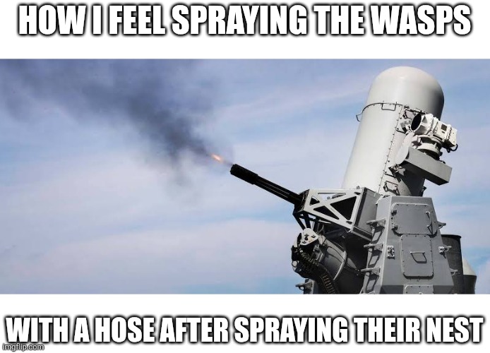 Phalanx | How I feel spraying the wasps; With a hose after spraying their nest | image tagged in funny,relatable,funny memes | made w/ Imgflip meme maker