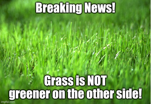 grass is greener | Breaking News! Grass is NOT greener on the other side! | image tagged in grass is greener | made w/ Imgflip meme maker