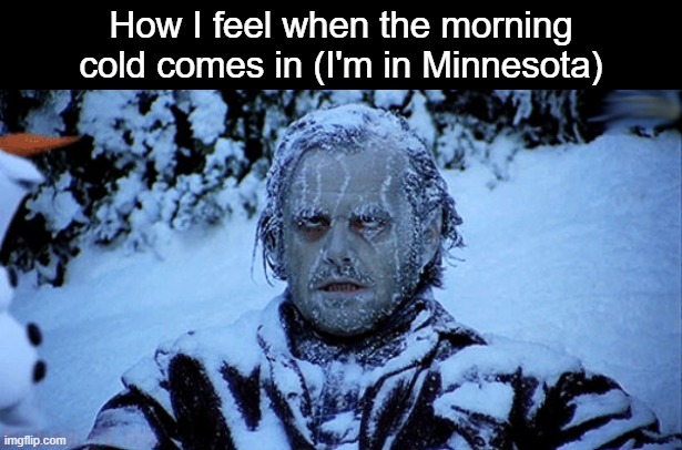 If the temperature drops by another degree istg I'm getting hypothermia | How I feel when the morning cold comes in (I'm in Minnesota) | image tagged in freezing cold,memes,fun | made w/ Imgflip meme maker