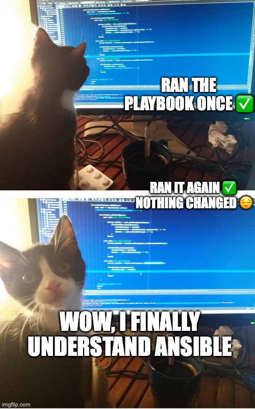 cat programmer | Ran the playbook once ✅; Ran it again ✅ 
Nothing changed 😌; Wow, I finally understand Ansible | image tagged in cat programmer | made w/ Imgflip meme maker