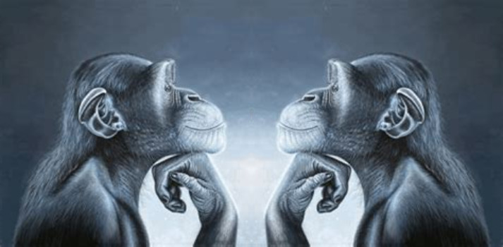 Monkey Pondering Monkey Blank Meme Template