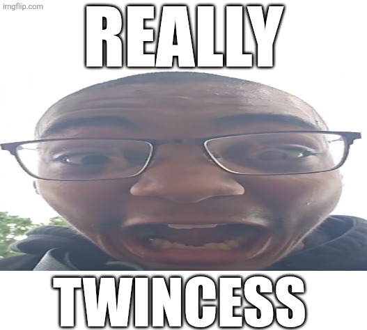 Really twincess | REALLY; TWINCESS | image tagged in caption box,twincess,why,do,fun | made w/ Imgflip meme maker