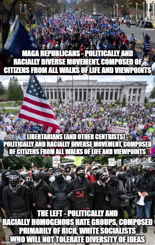 "We embrace diversity!" the right, white leftists said | MAGA republicans - politically and racially diverse movement, composed of citizens from all walks of life and viewpoints; Libertarians (and other centrists) - politically and racially diverse movement, composed of citizens from all walks of life and viewpoints; The Left - politically and racially homogenous hate groups, composed primarily of rich, white socialists who will not tolerate diversity of ideas | image tagged in politics,political meme,right wing,leftists,libertarian,antifa | made w/ Imgflip meme maker