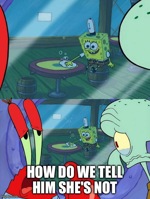 How Do We Tell Him? | How do we tell him she's not | image tagged in how do we tell him | made w/ Imgflip meme maker