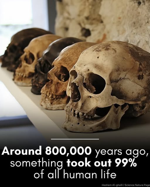 skulls Blank Meme Template