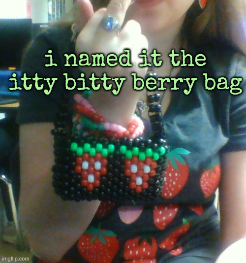 designer bag type shit | i named it the itty bitty berry bag | made w/ Imgflip meme maker