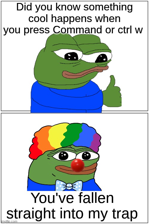 its a cool short cut | Did you know something cool happens when you press Command or ctrl w; You've fallen straight into my trap | image tagged in memes,blank comic panel 1x2 | made w/ Imgflip meme maker