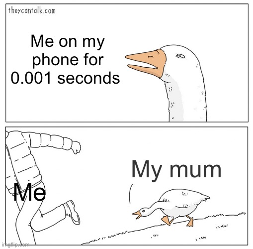Goose chasing guy HD | Me on my phone for 0.001 seconds; My mum; Me | image tagged in goose chasing guy hd | made w/ Imgflip meme maker