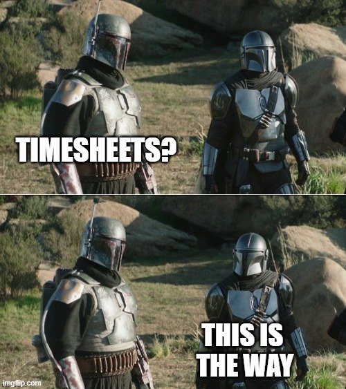 Mando Timesheets | Timesheets? This is 
the way | image tagged in mandos,this is the way,mandolorian,timesheet meme,timesheet reminder,timesheets | made w/ Imgflip meme maker