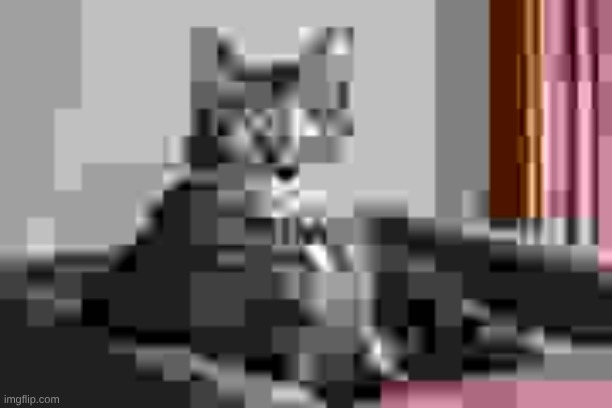 Compressed image of a Domestic Shorthair (2kb) | image tagged in compressed image of a domestic shorthair 2kb | made w/ Imgflip meme maker