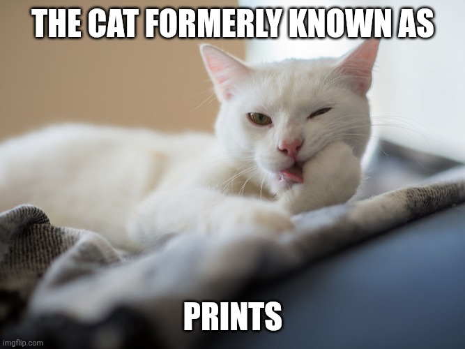 cat licking paw | The cat formerly known as Prints | image tagged in cat licking paw | made w/ Imgflip meme maker