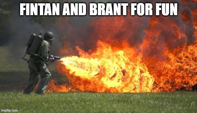 Fintan and Brant for fun | Fintan and brant for fun | image tagged in flamethrower,kotlc,fintan,brant,fire,neverseen | made w/ Imgflip meme maker