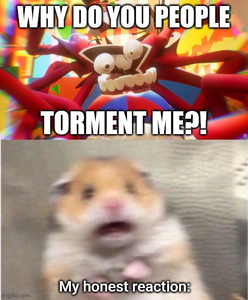 The way he said it after torturing the players for calling him out almost makes my heart skip a beat. | WHY DO YOU PEOPLE; TORMENT ME?! My honest reaction: | image tagged in caine crashing out,scared hamster,the amazing digital circus,tadc,caine,reaction | made w/ Imgflip meme maker