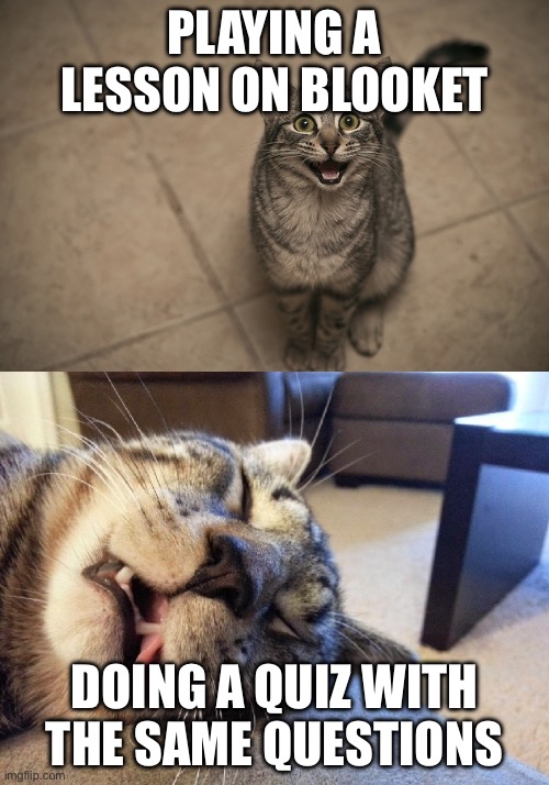 excited exhausted cats | Playing a lesson on blooket; Doing a quiz with the same questions | image tagged in excited exhausted cats | made w/ Imgflip meme maker