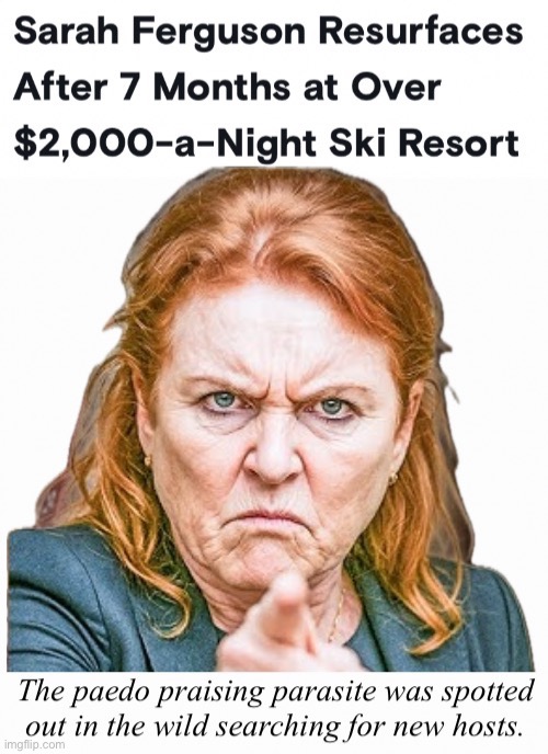 Homeless Resorts | image tagged in grift grab sponge | made w/ Imgflip meme maker