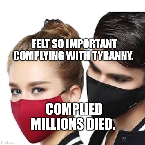 Mask Couple | felt so important complying with tyranny. complied millions died. | image tagged in mask couple | made w/ Imgflip meme maker