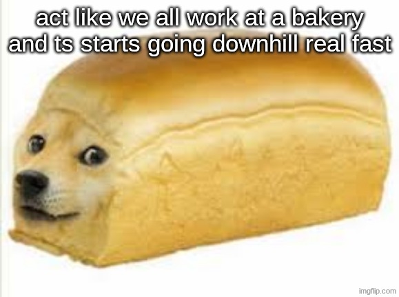 this gonna be fun | act like we all work at a bakery and ts starts going downhill real fast | image tagged in doge bread,memes,funny,doge,epic | made w/ Imgflip meme maker