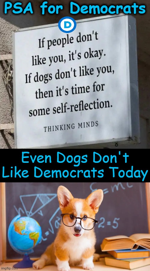 Dogs are Smart | PSA for Democrats; Even Dogs Don't Like Democrats Today | image tagged in liberals,democrats,dogs,iq,smart dog,political humor | made w/ Imgflip meme maker