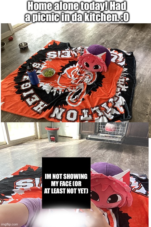Home alone today! Had a picnic in da kitchen. :0; Im not showing my face (or at least not yet) | made w/ Imgflip meme maker