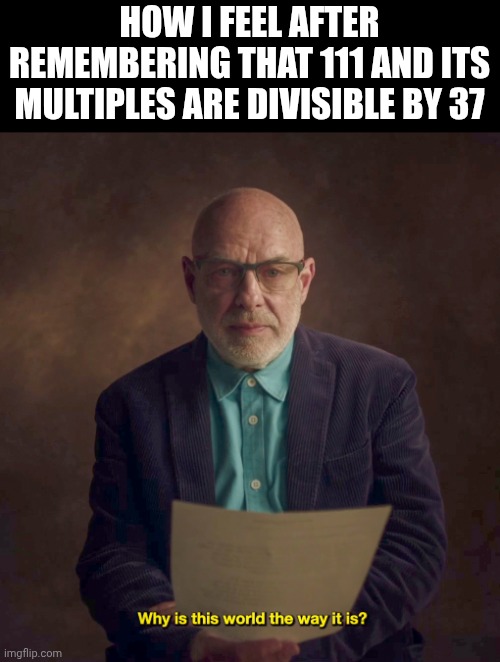 math | how I feel after remembering that 111 and its multiples are divisible by 37 | image tagged in why is this world the way it is | made w/ Imgflip meme maker
