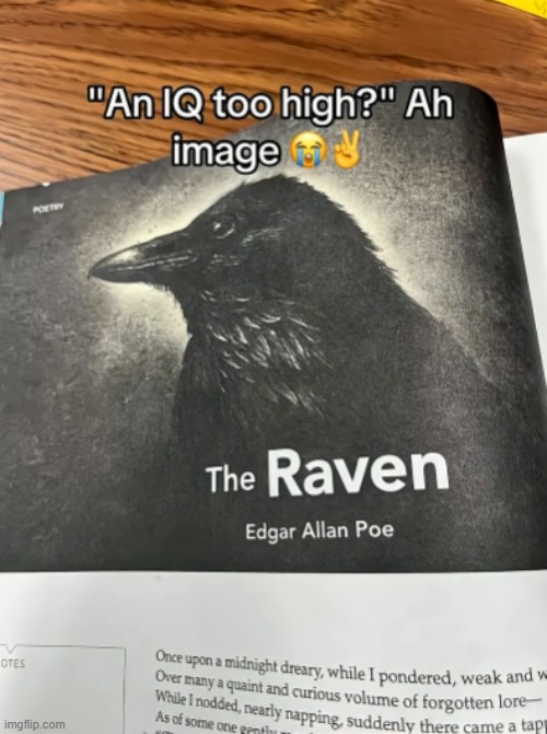 this image is forever ingrained to may head | image tagged in bird | made w/ Imgflip meme maker