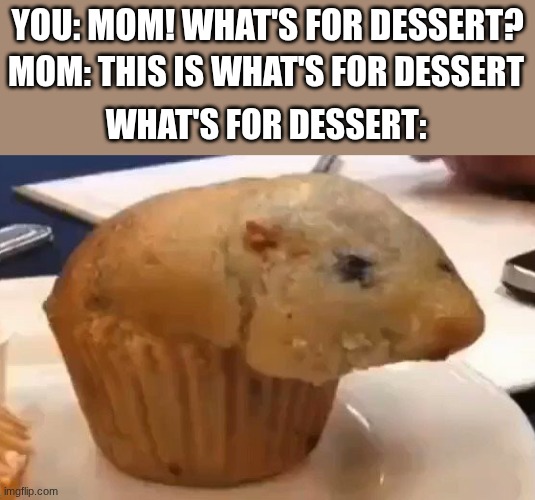Have you ever had a horrible dessert before? | You: Mom! What's for dessert? Mom: This is what's for dessert; What's for dessert: | image tagged in rat muffin | made w/ Imgflip meme maker
