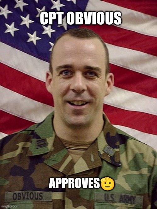 Captain Obvious | cpt obvious approves? | image tagged in captain obvious | made w/ Imgflip meme maker