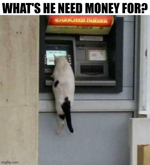 What's He Need Money For? | What's he need money for? | made w/ Imgflip meme maker