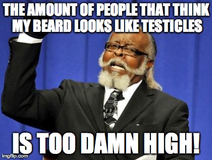 Too Damn High | THE AMOUNT OF PEOPLE THAT THINK MY BEARD LOOKS LIKE TESTICLES IS TOO DAMN HIGH! | image tagged in memes,too damn high | made w/ Imgflip meme maker