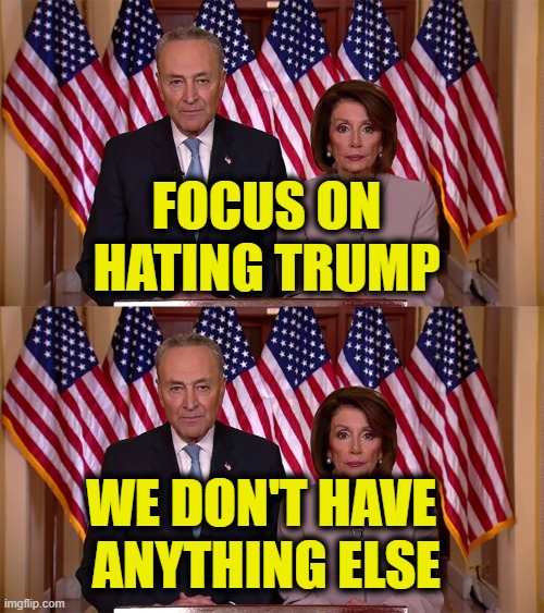 More Democrat Logic | focus on
Hating Trump; we don't have 
anything else | image tagged in democrats | made w/ Imgflip meme maker